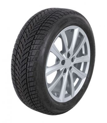 GOODYEAR UltraGrip Performance 2 205/55 R16 91T