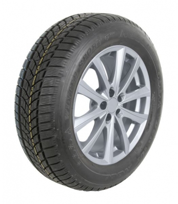 Dunlop Winter Sport 5 SUV 235/65 R17 104H 001