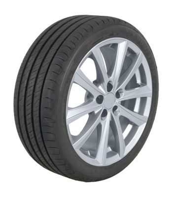 GOODYEAR Efficientgrip Performance 2 205/55 R16 94V