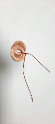 Saiba de curpu IaMZ