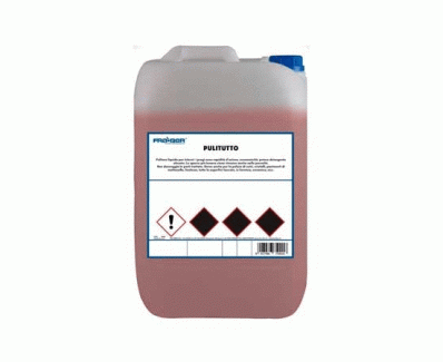 FRA-BER 70729 PULITUTTO ARANCIO 25 KG