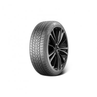 Uniroyal WinterExpert 245/45 R19 102V