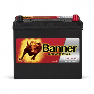 Banner Power Bull P4523