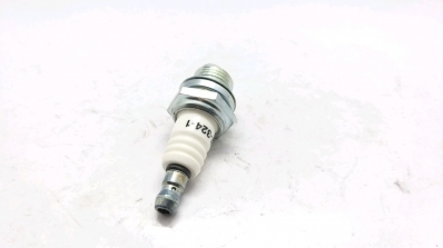 Bujie OREGON (origin) O-PR17Y