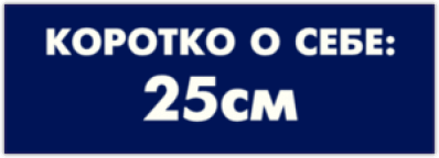 Наклейки на авто "Коротко о себе: 25см"