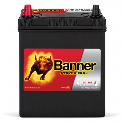 Banner Power Bull P4027