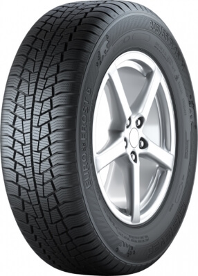 Gislaved EURO FROST 6 205/55 R16 91T