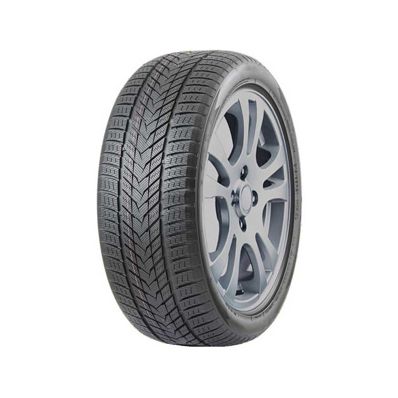 Arivo Winmaster ProX ARW5 275/45 R21 110H XL