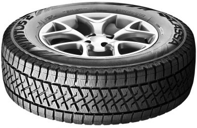 Lassa Wintus 2 225/70R15C