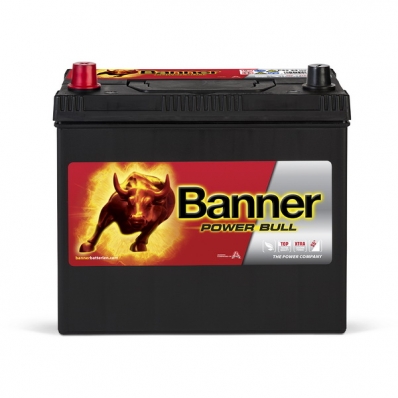 Banner Power Bull P4524