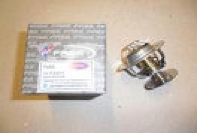 FASE Термостат FOCUS BM 98>04