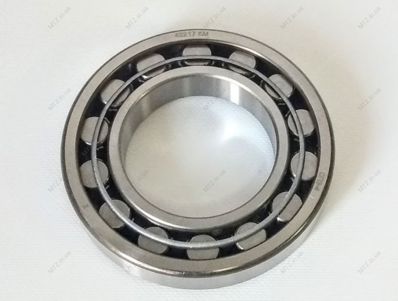 Rulment 50310 (6310N) GPZ ZIL KPP