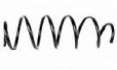 FASE Пружина передняя FİESTA BM 02>