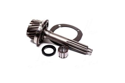 Arbore primar sub inelul DC ZIL