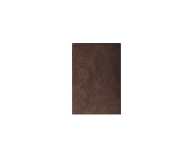 Troton Placa izolare fonica 25*50см