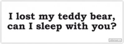 Abtibilduri pentru automobil "I lost my teddy bear, can I sleep with you?"