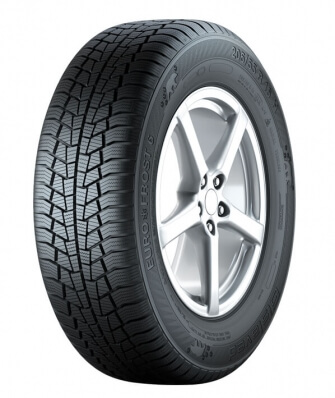 Gislaved Euro Frost 6 225/45 R17 91H