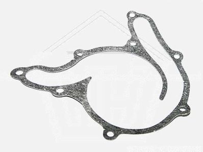 Garnitura pentru pompa de apa G-53