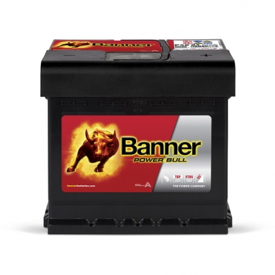 Banner Power Bull P5003