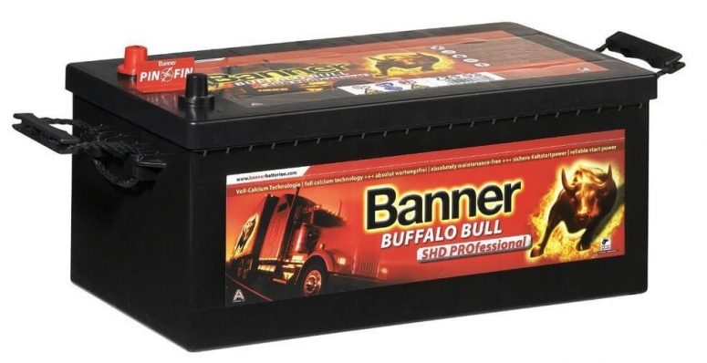 BANNER 225 Ah Buffalo Bull SHD PRO