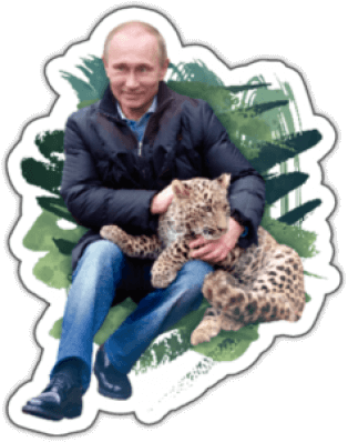 Abtibilduri auto "Putin cu leopard"