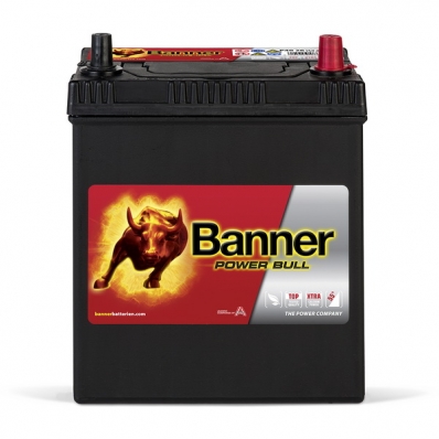 Banner Power Bull P4026