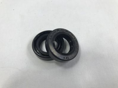 Simering pompa de vid 24x40x10 GAZ