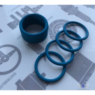 Kit de reparare atașament compresor la blocul de inel KAMAZ-EURO RTI