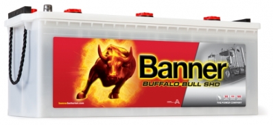 BANNER 180 Ah Buffalo Bull SHD