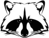 Stickere auto "Raccoon"