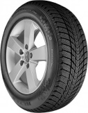 Nexen Winguard Ice Plus 205/60 R16 96T