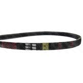 Curea 16х11-1650 Basis Excellent