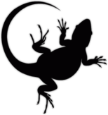 Стикеры на авто "Ящерица 007"