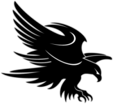 Autocolante pentru automobil "Vulturul 3"