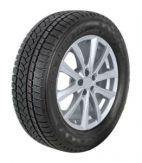 PROFIL Pro Snow 790 205/60 R16 96H