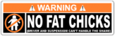 Stickere pentru automobil "No Fat Chicks Cant Handle the Shame"