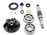 Kit de reparare a pompei cu arbore rulment și rotor Alliance G-53