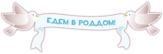 Autocolante pentru automobil "Едем в роддом"