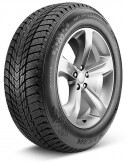 Nexen Winguard Ice Plus 195/55 R15 89T