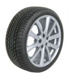 Bridgestone ZTBR LM001A 215/65R17 99H TL M+S