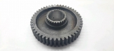 Pinion Pinion