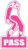 Autostickere pentru automobil "PASS"