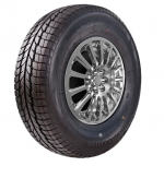 Powertrac Snowtour 225/60 R17 99H