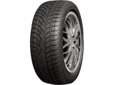 RoadX RXFROST WH12 225/45 R17 94H XL