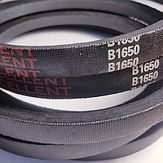 Curea V(B) 1650 Basis Excellent