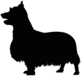 Наклейки на авто "Шелковистый терьер"