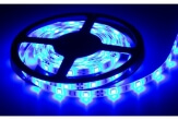 5630 5m benzi LED - albastru 5630 5m benzi LED - albastru