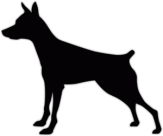 Stickere pentru automobil "Pinscher miniatural"