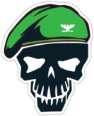 Stickere auto "Rick Flag"