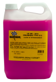 BARDAHL ANTIFREEZE G13 LR VW -30°C 5l